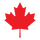 Custom logo image