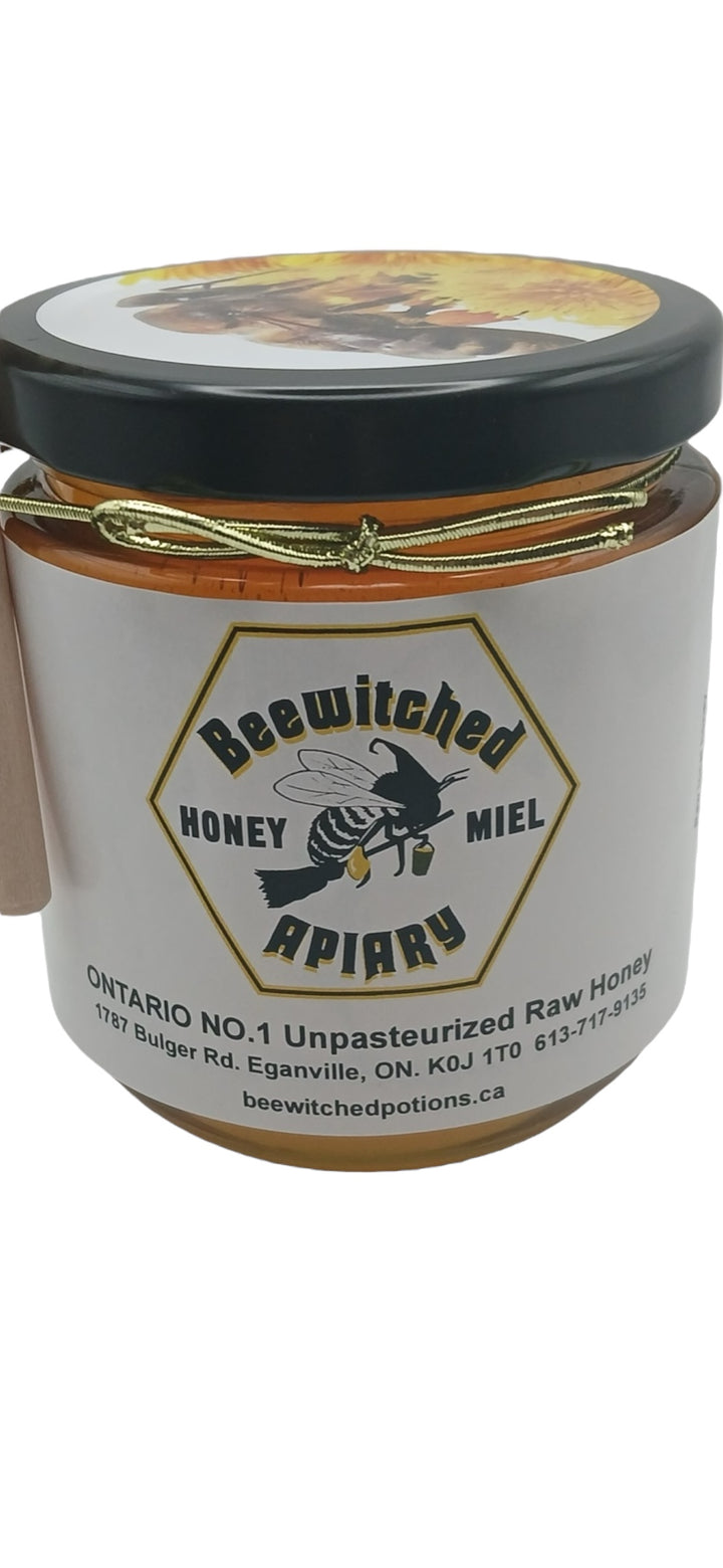 Pure Raw Organic Honey 330g